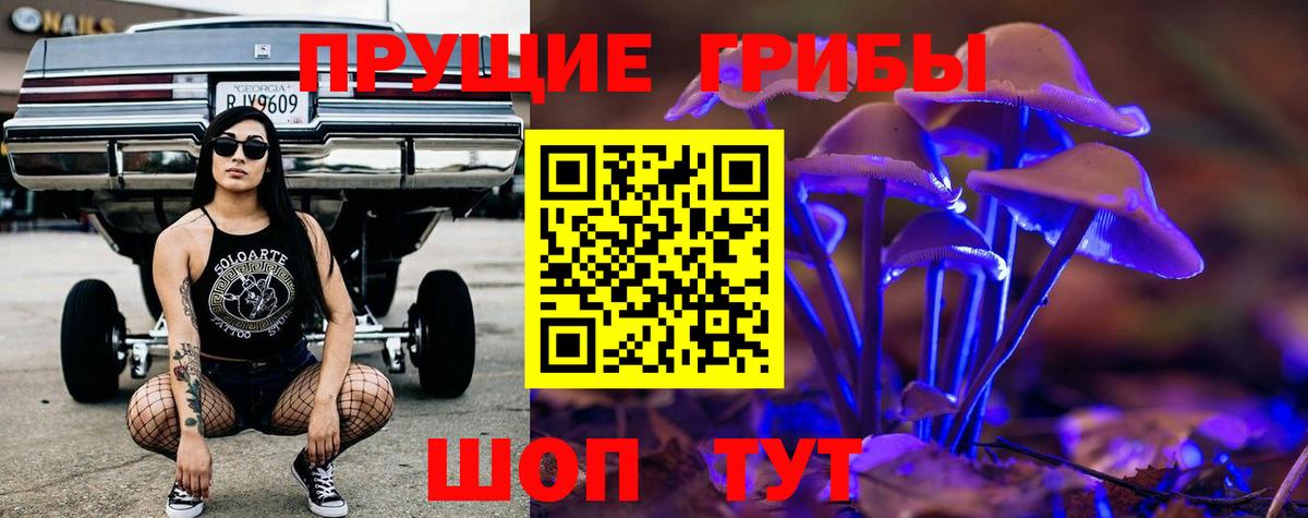 Псилоцибиновые грибы MAGIC MUSHROOMS  Вход с VPN  Серпухов 